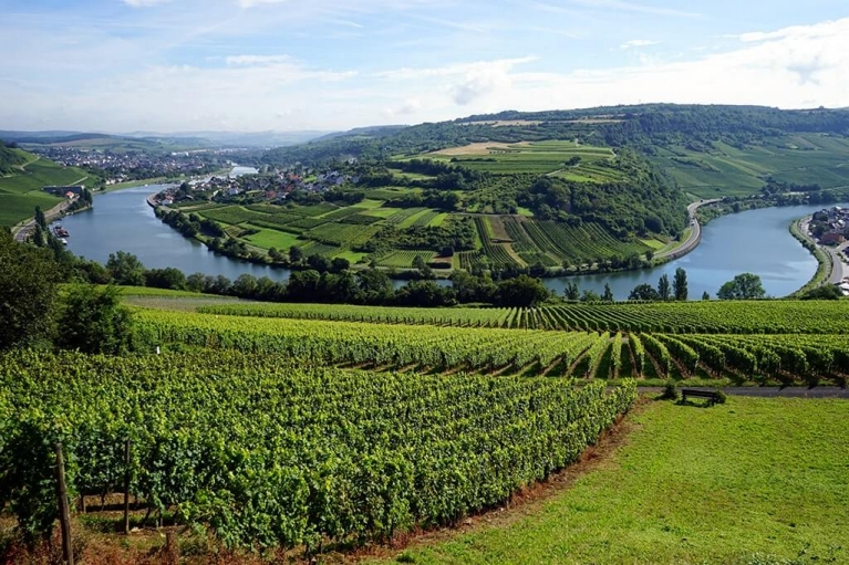 Das Moseltal